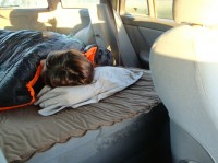 Saeko slapend in de auto