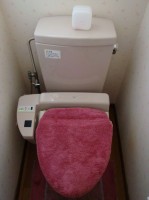 Geavanceerde toilet