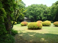 Optrekje Meiji Shrine
